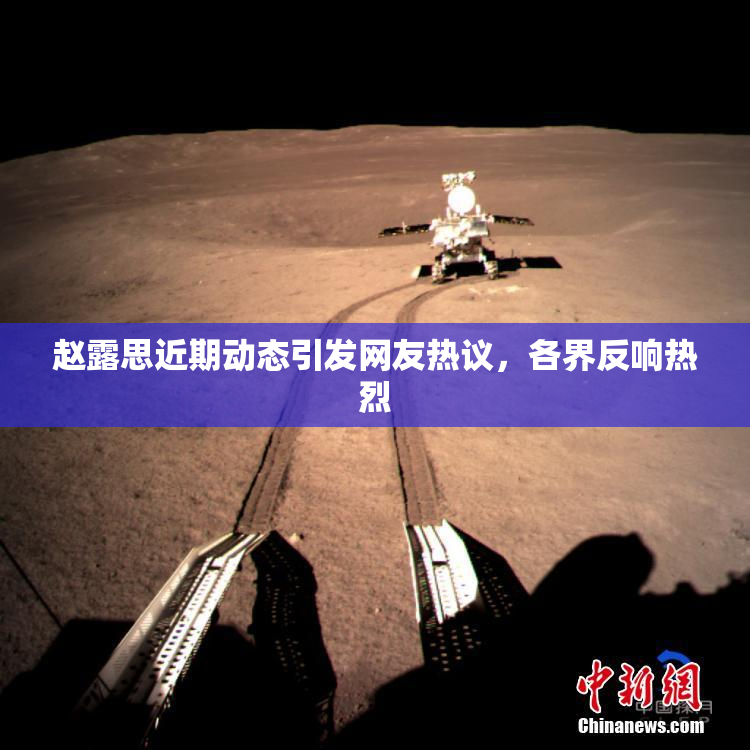 赵露思近期动态引发网友热议，各界反响热烈