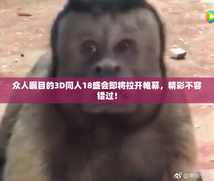 众人瞩目的3D同人18盛会即将拉开帷幕，精彩不容错过！
