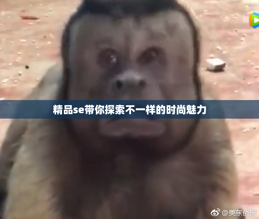 精品se带你探索不一样的时尚魅力
