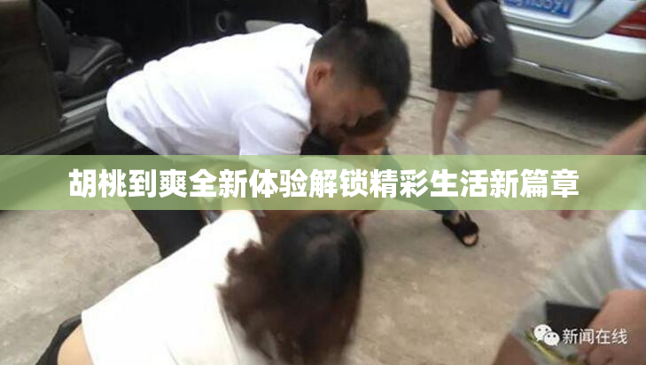 胡桃到爽全新体验解锁精彩生活新篇章