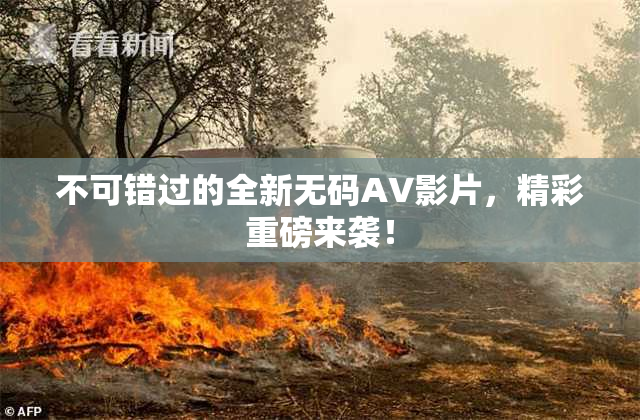 不可错过的全新无码AV影片，精彩重磅来袭！