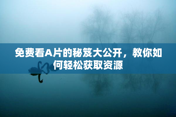 免费看A片的秘笈大公开，教你如何轻松获取资源