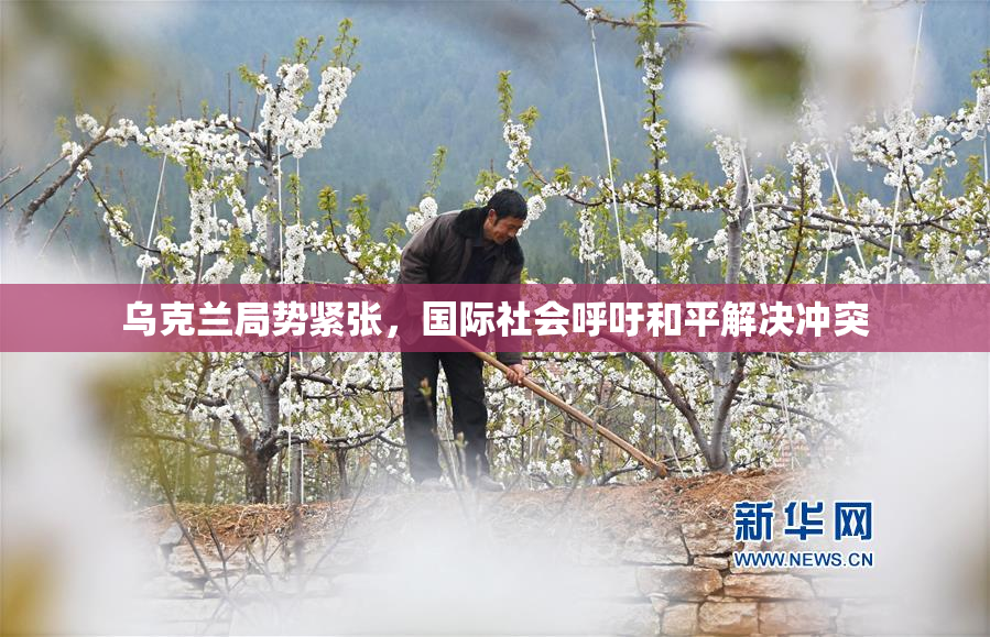 乌克兰局势紧张，国际社会呼吁和平解决冲突