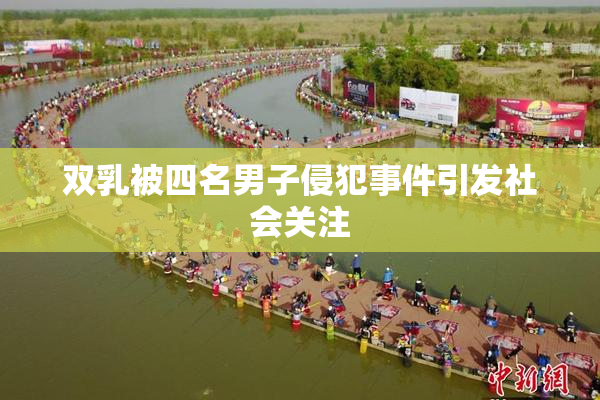 双乳被四名男子侵犯事件引发社会关注