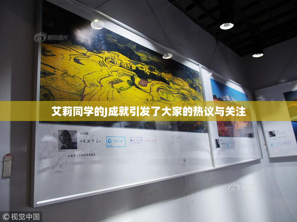 艾莉同学的J成就引发了大家的热议与关注