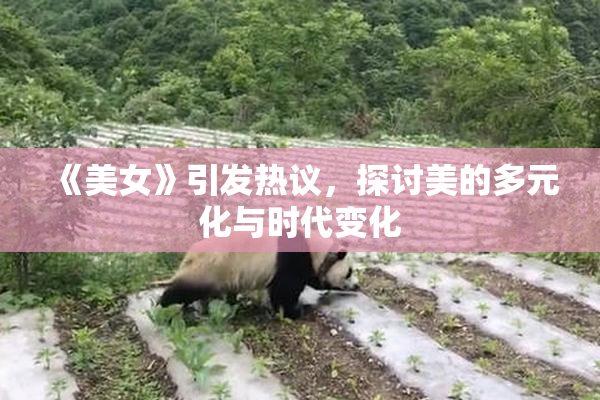 《美女》引发热议，探讨美的多元化与时代变化