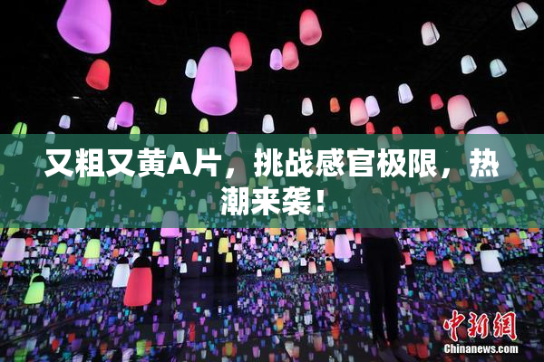 又粗又黄A片，挑战感官极限，热潮来袭！