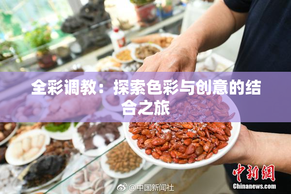 全彩调教：探索色彩与创意的结合之旅