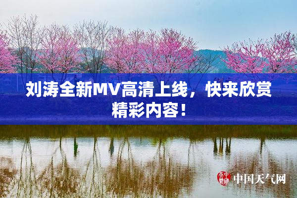 刘涛全新MV高清上线，快来欣赏精彩内容！