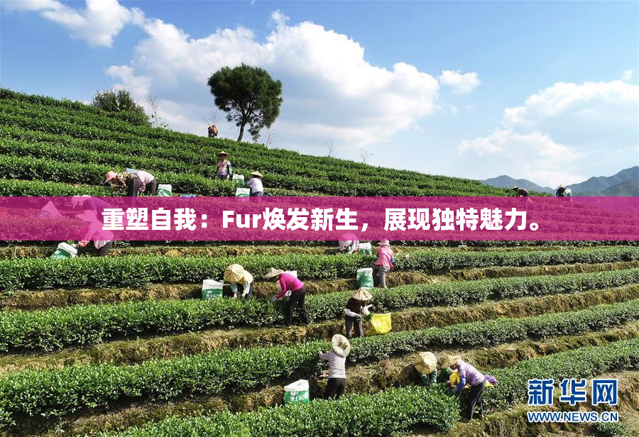 重塑自我：Fur焕发新生，展现独特魅力。