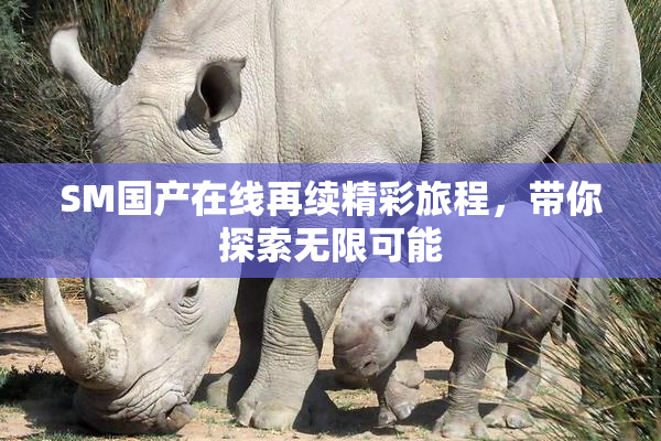 SM国产在线再续精彩旅程，带你探索无限可能