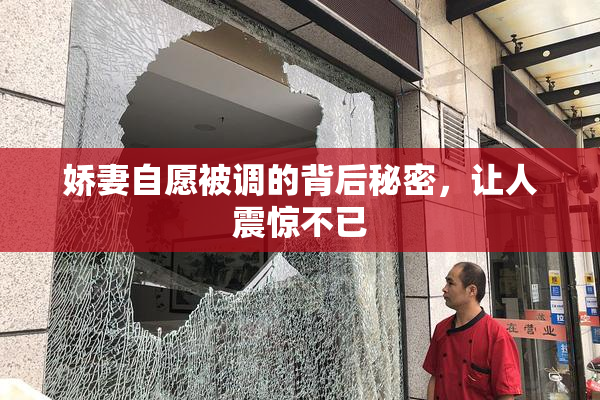 娇妻自愿被调的背后秘密，让人震惊不已