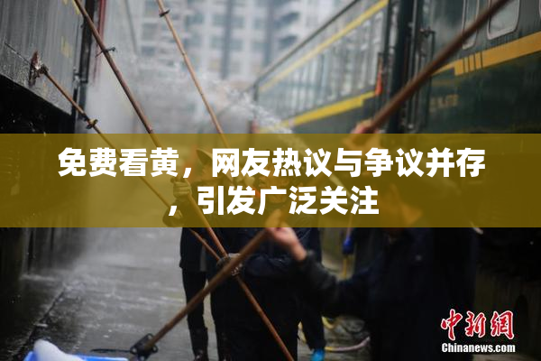 免费看黄，网友热议与争议并存，引发广泛关注