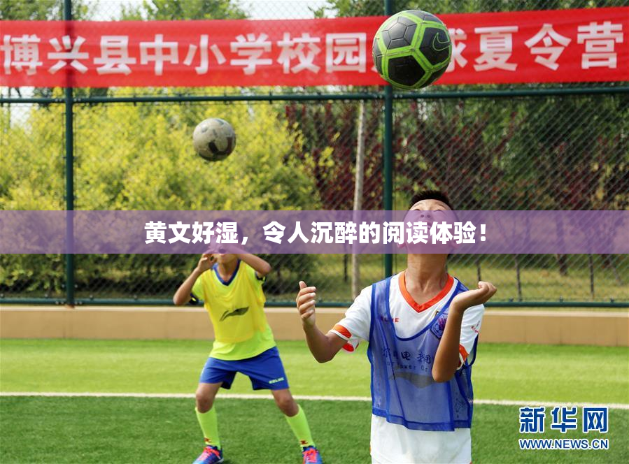 黄文好湿，令人沉醉的阅读体验！