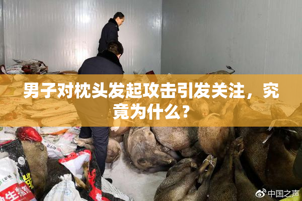 男子对枕头发起攻击引发关注，究竟为什么？