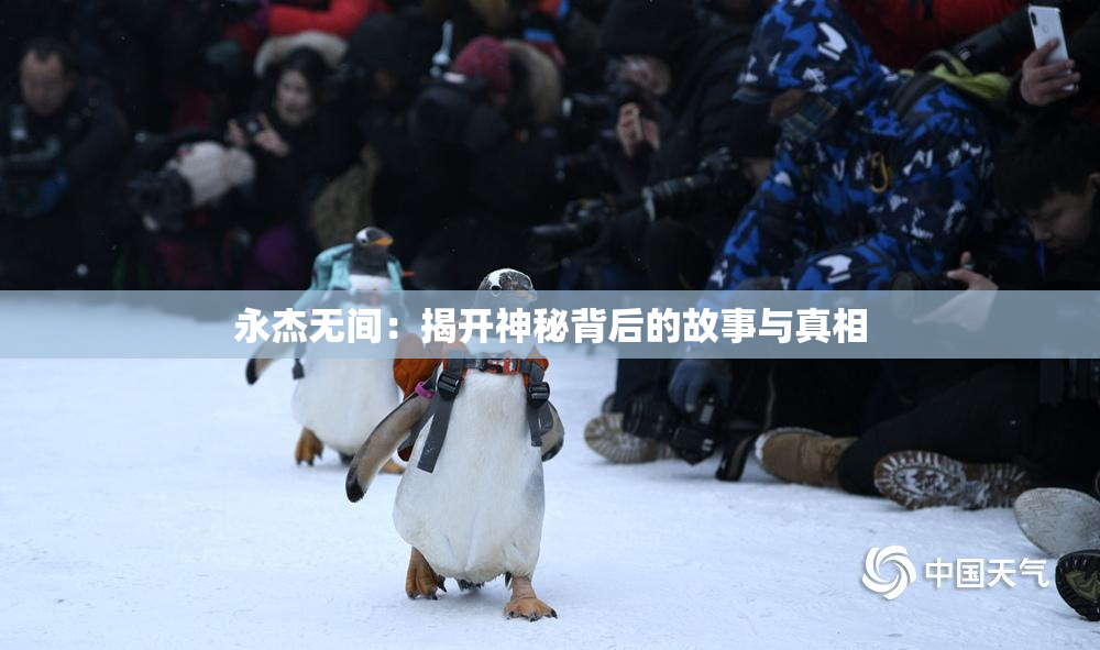 永杰无间：揭开神秘背后的故事与真相
