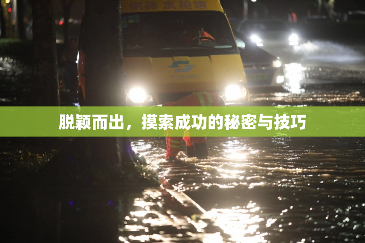 脱颖而出，摸索成功的秘密与技巧