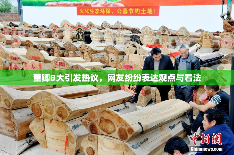 董卿B大引发热议，网友纷纷表达观点与看法
