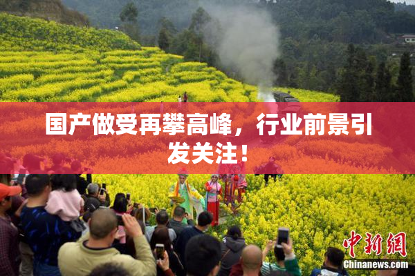 国产做受再攀高峰，行业前景引发关注！