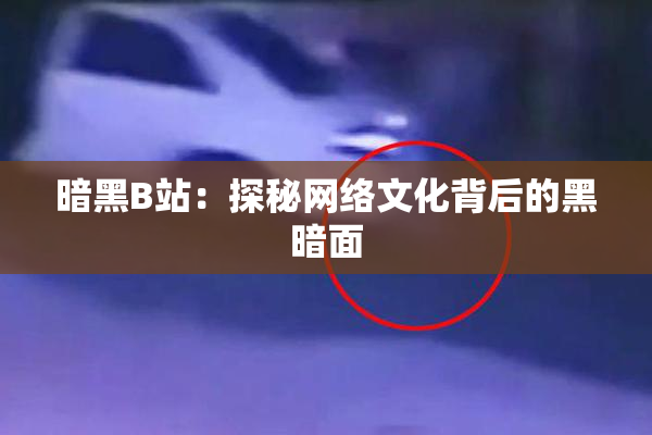 暗黑B站：探秘网络文化背后的黑暗面