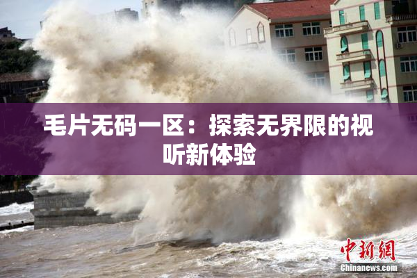 毛片无码一区：探索无界限的视听新体验