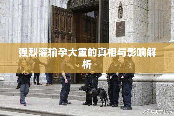 强烈灌输孕大重的真相与影响解析