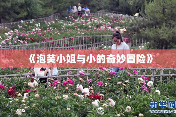 《泡芙小姐与小的奇妙冒险》