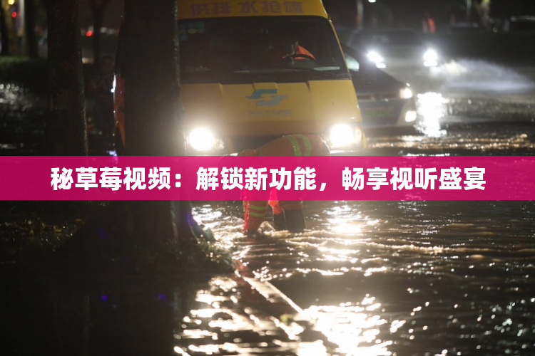 秘草莓视频：解锁新功能，畅享视听盛宴