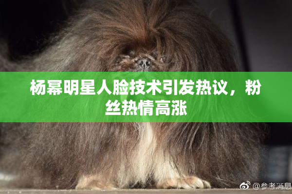杨幂明星人脸技术引发热议，粉丝热情高涨