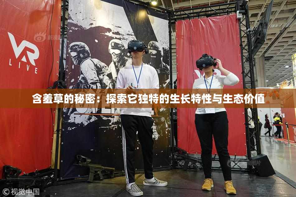 含羞草的秘密：探索它独特的生长特性与生态价值