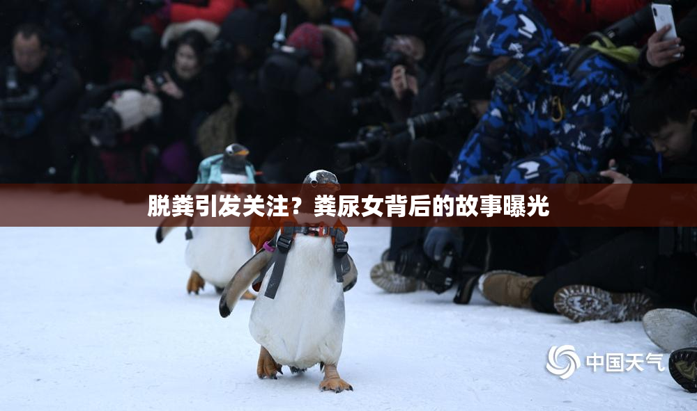 脱粪引发关注？粪尿女背后的故事曝光