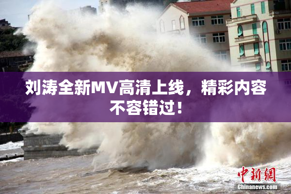 刘涛全新MV高清上线，精彩内容不容错过！