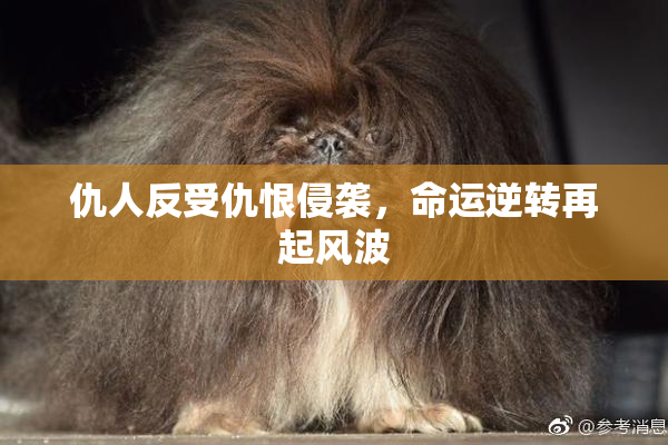 仇人反受仇恨侵袭，命运逆转再起风波