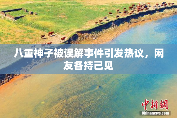 八重神子被误解事件引发热议，网友各持己见