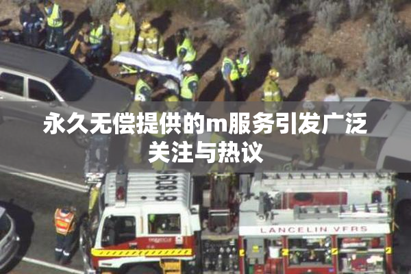 永久无偿提供的m服务引发广泛关注与热议