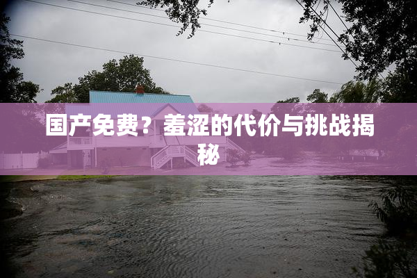 国产免费？羞涩的代价与挑战揭秘