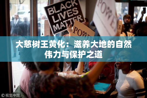 大慈树王黄化：滋养大地的自然伟力与保护之道