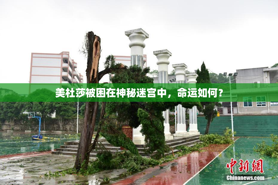 美杜莎被困在神秘迷宫中，命运如何？