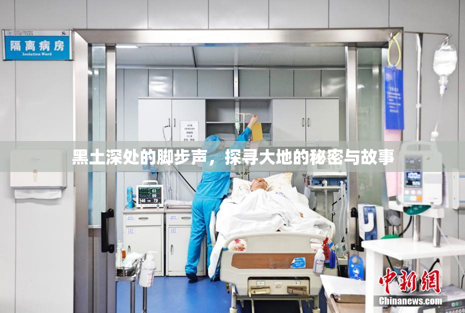 黑土深处的脚步声，探寻大地的秘密与故事