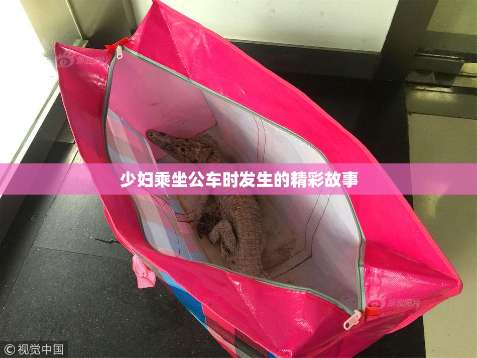 少妇乘坐公车时发生的精彩故事