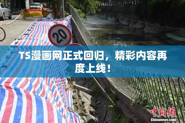 TS漫画网正式回归，精彩内容再度上线！