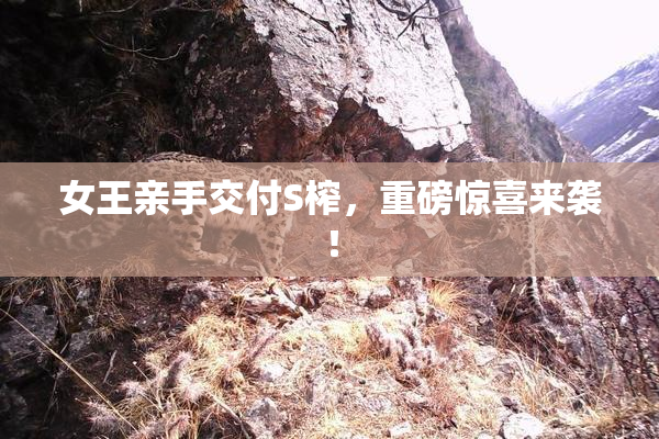 女王亲手交付S榨，重磅惊喜来袭！