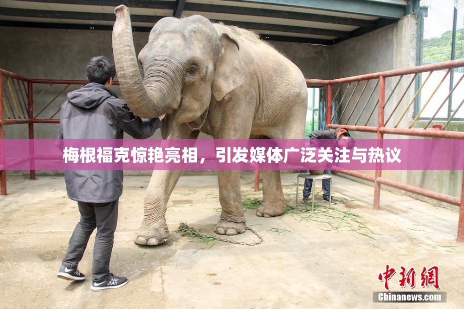 梅根福克惊艳亮相，引发媒体广泛关注与热议