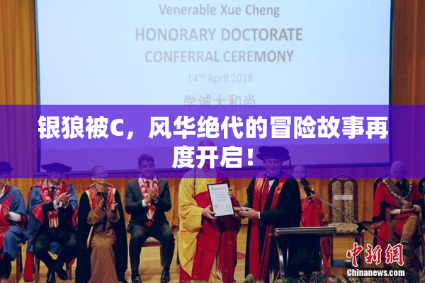 银狼被C，风华绝代的冒险故事再度开启！
