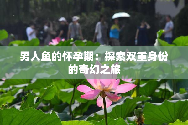 男人鱼的怀孕期：探索双重身份的奇幻之旅
