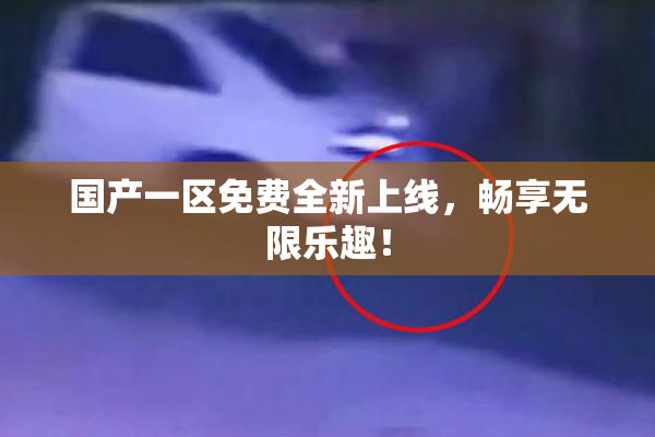 国产一区免费全新上线，畅享无限乐趣！