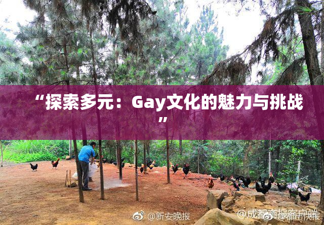 “探索多元：Gay文化的魅力与挑战”