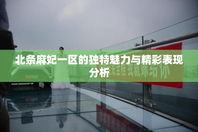 北条麻妃一区的独特魅力与精彩表现分析