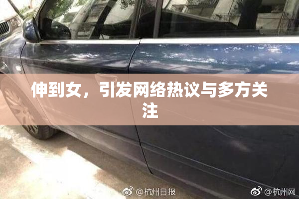 伸到女，引发网络热议与多方关注