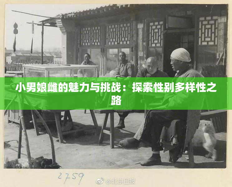 小男娘雌的魅力与挑战：探索性别多样性之路